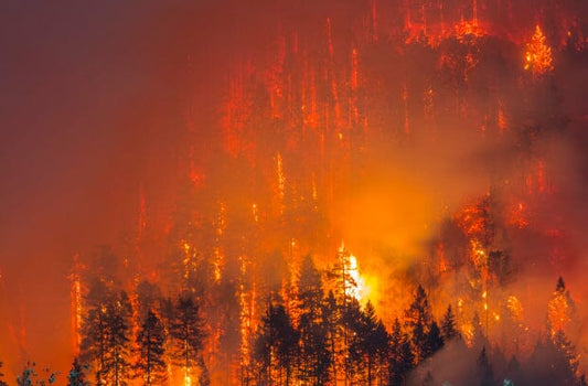 Wildfires and Linemen - J.L. Matthews Co., Inc.
