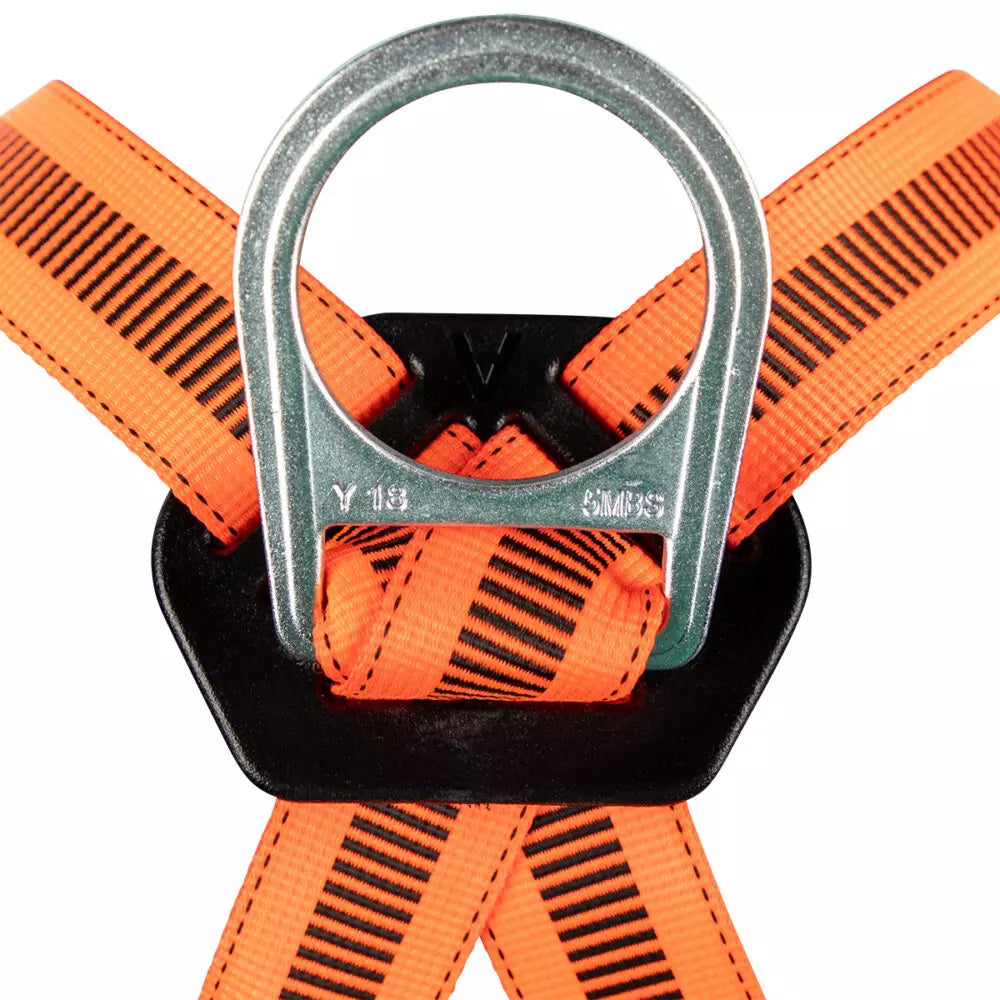 Dorsal D-ring