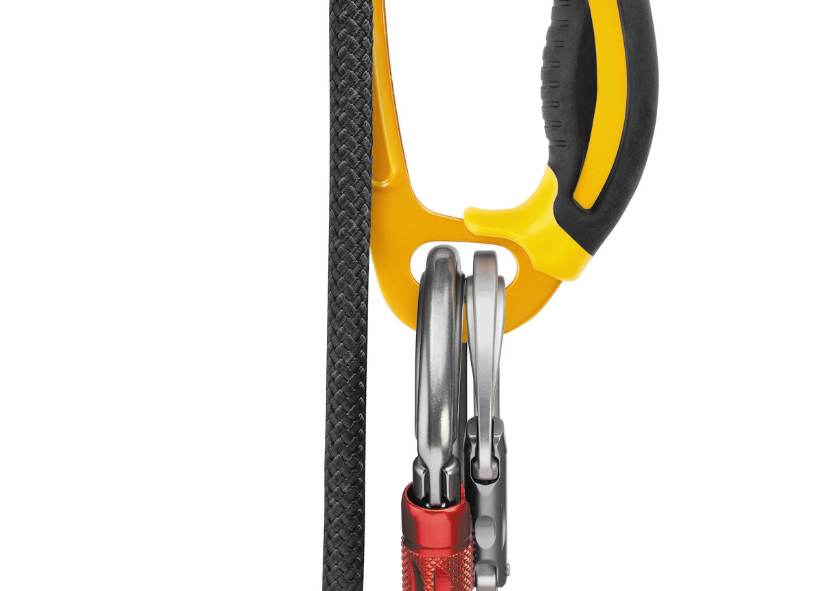 Ascension w/carabiners