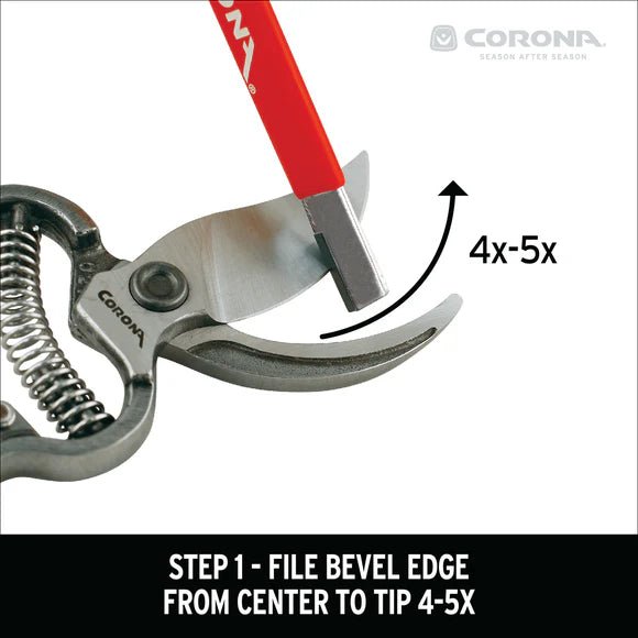 Corona Sharpening Tool w/5 IN. SUPER CARBIDE FILE