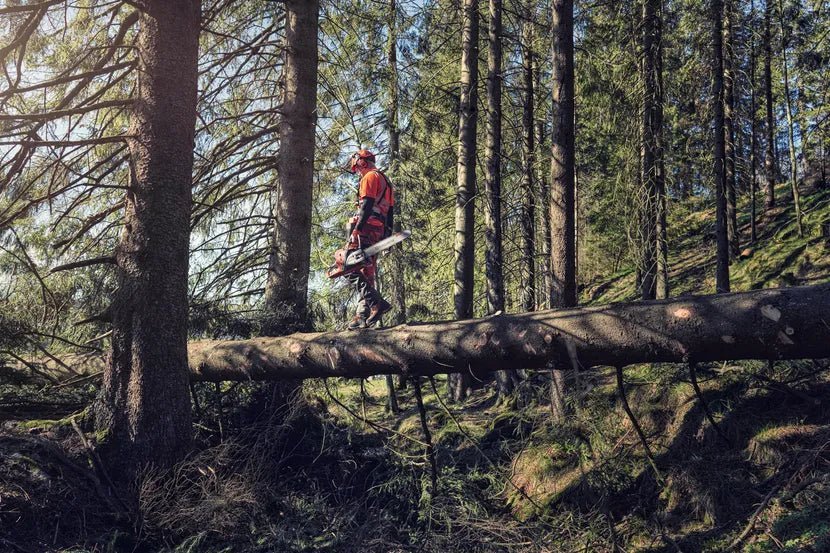 Husqvarna Gas Chainsaw