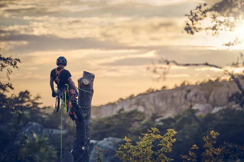 Husqvarna Mark III Professional Gas Chainsaw