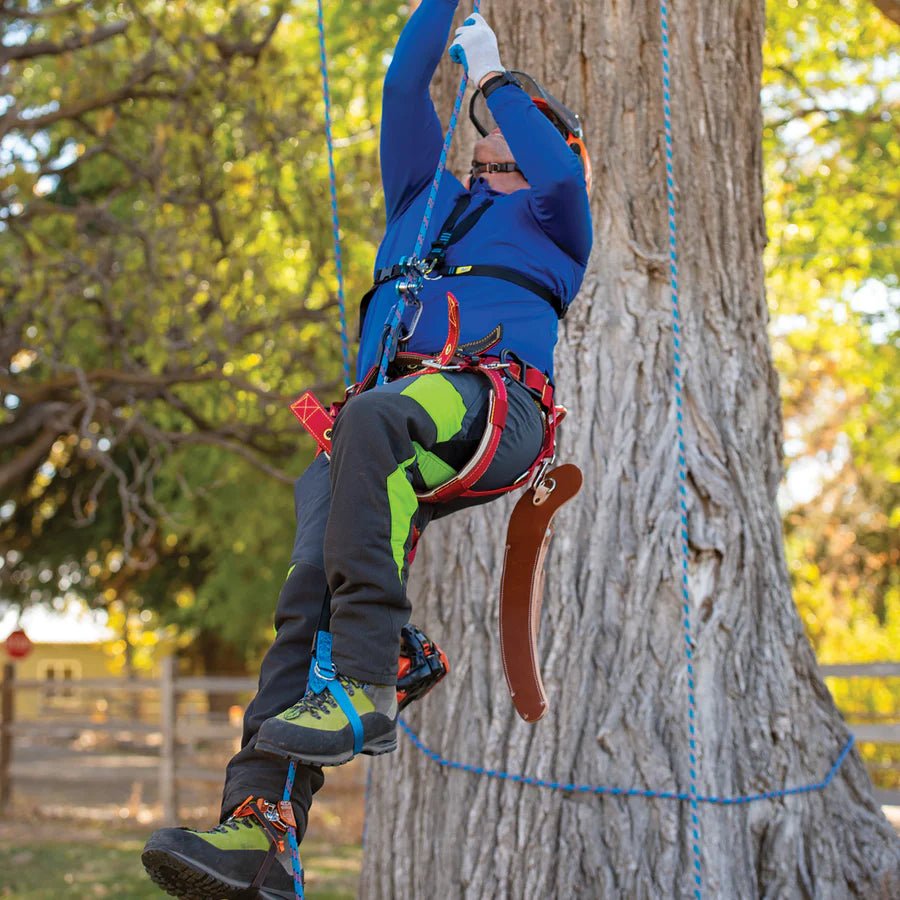 Weaver Arborist Ascent System