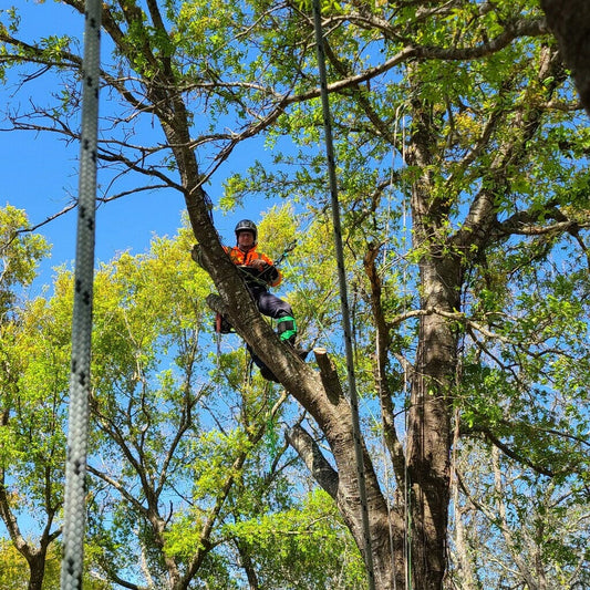 Life at Height - Brandon Culpan - J.L. Matthews Co., Inc.