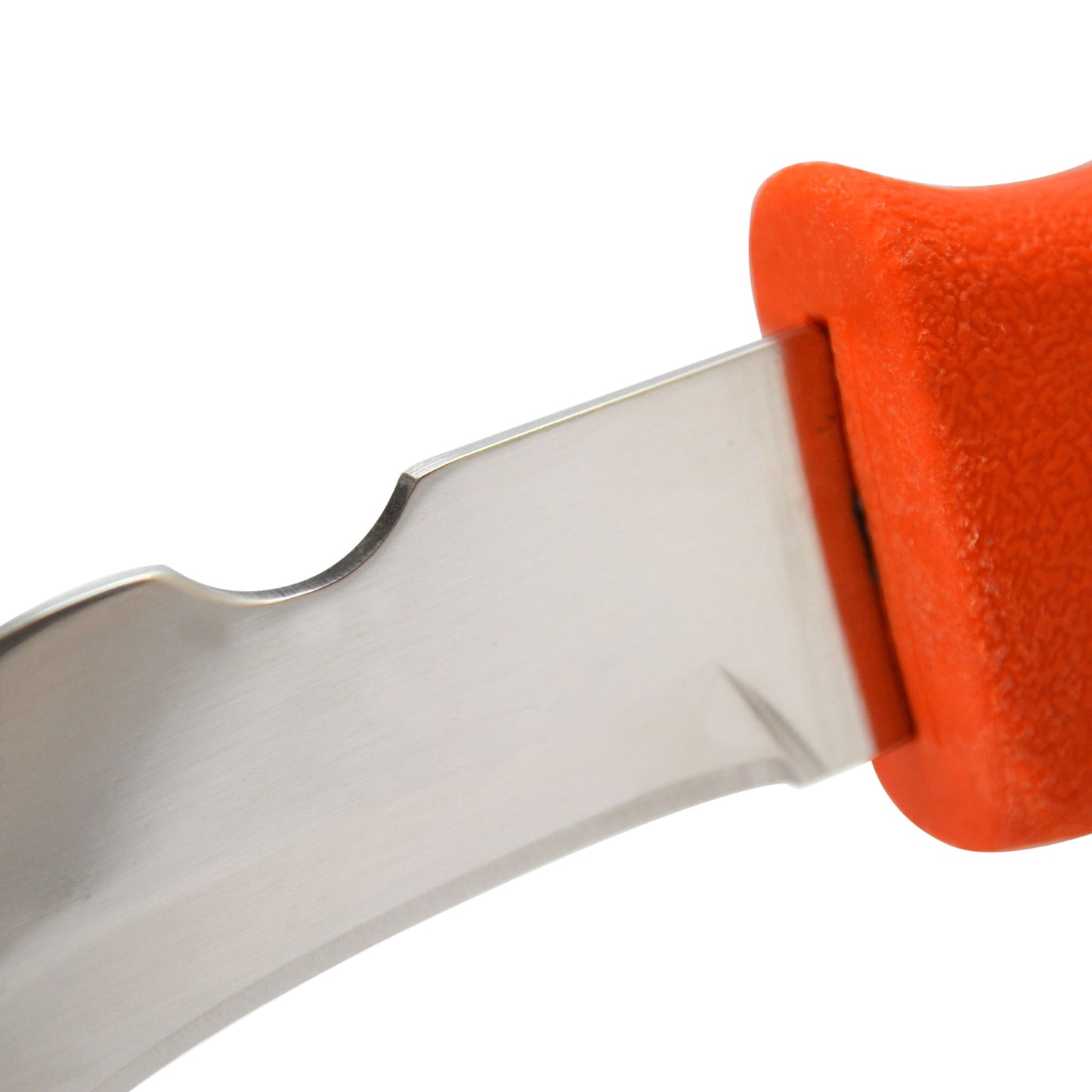 Hawkbill All-Purpose 10 in. Skinning Knife 