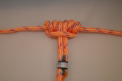 At - Height Arborist Work Positioning Lanyard 