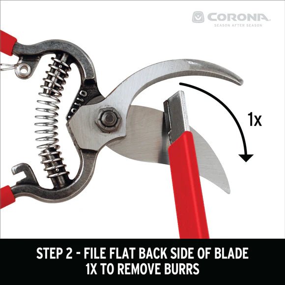 Corona Carbide Sharpening Tool 