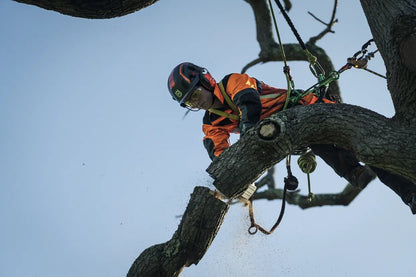 Husqvarna Chainsaw