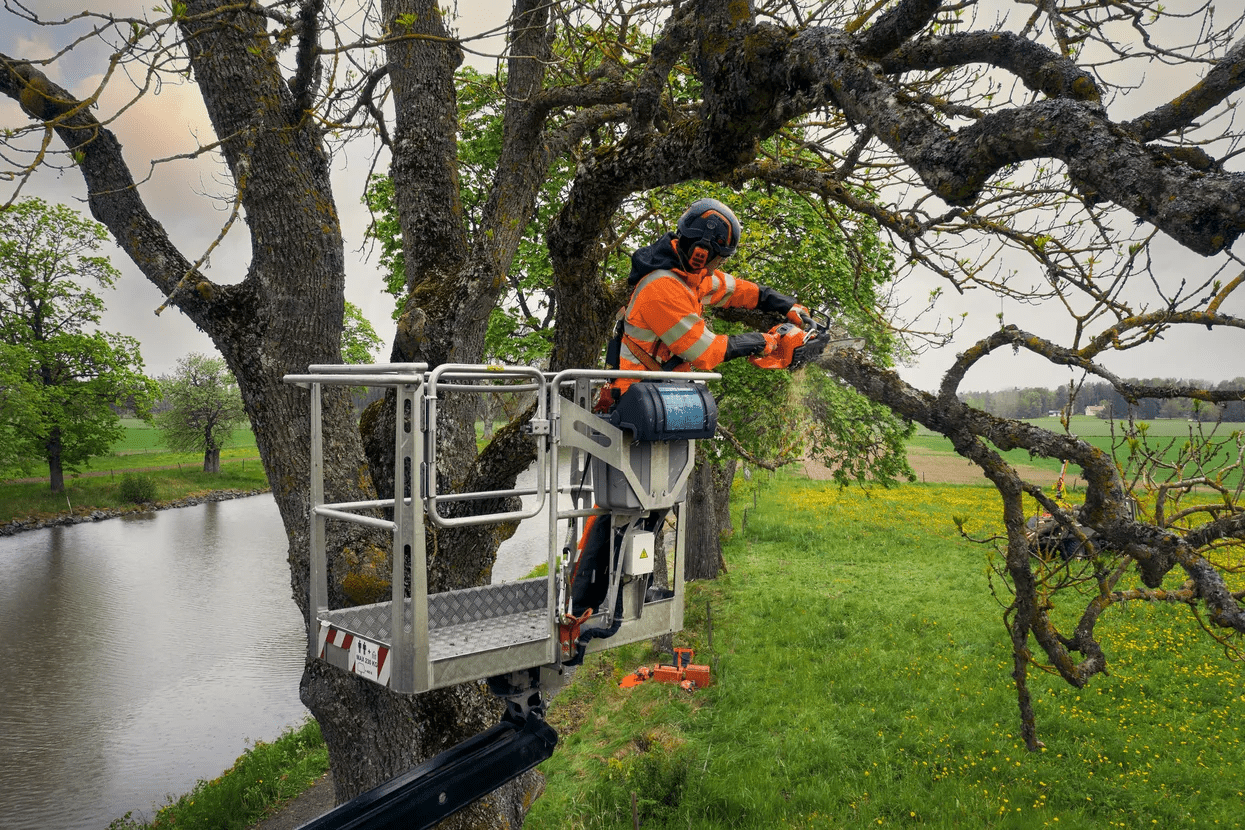 Husqvarna Chainsaw Mark III Professional Gas Chainsaw T540XP - Chainsaws - J.L. Matthews Co., Inc.
