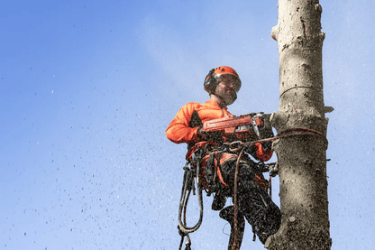 Husqvarna’s 545 chainsaw
