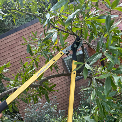Jameson Tree Trimming Tool