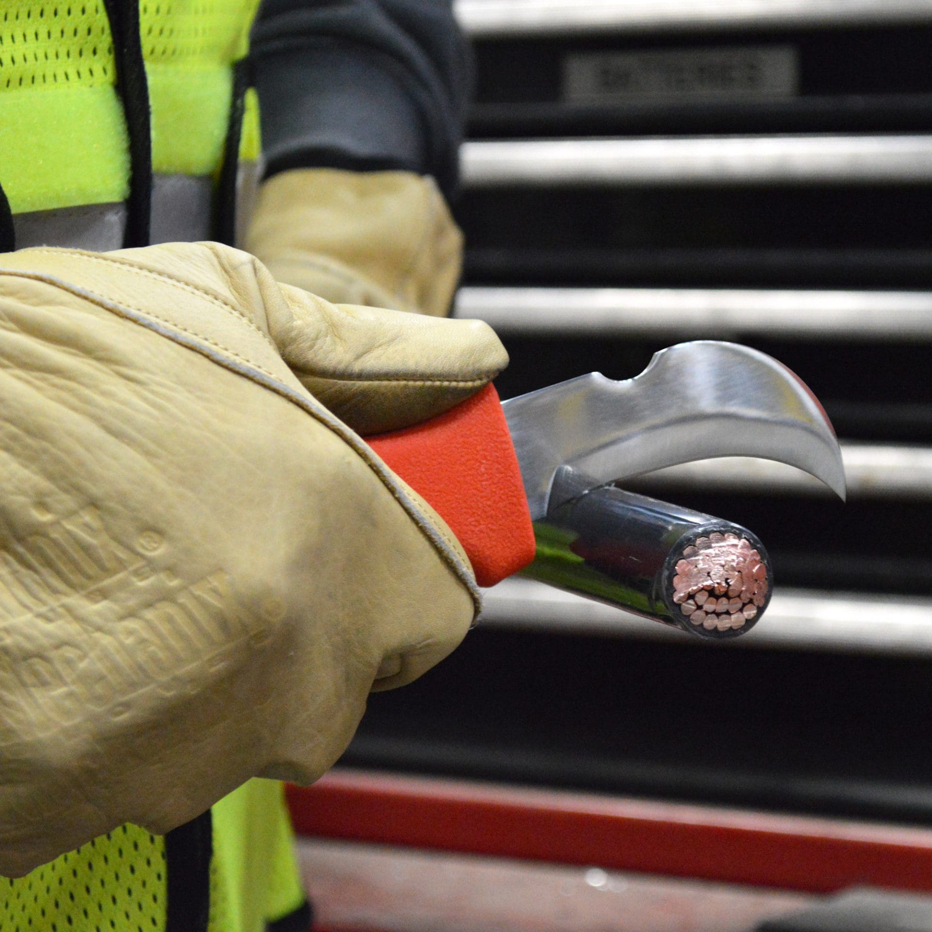 Hawkbill High Carbon Steel All-Purpose 10 in. Knife