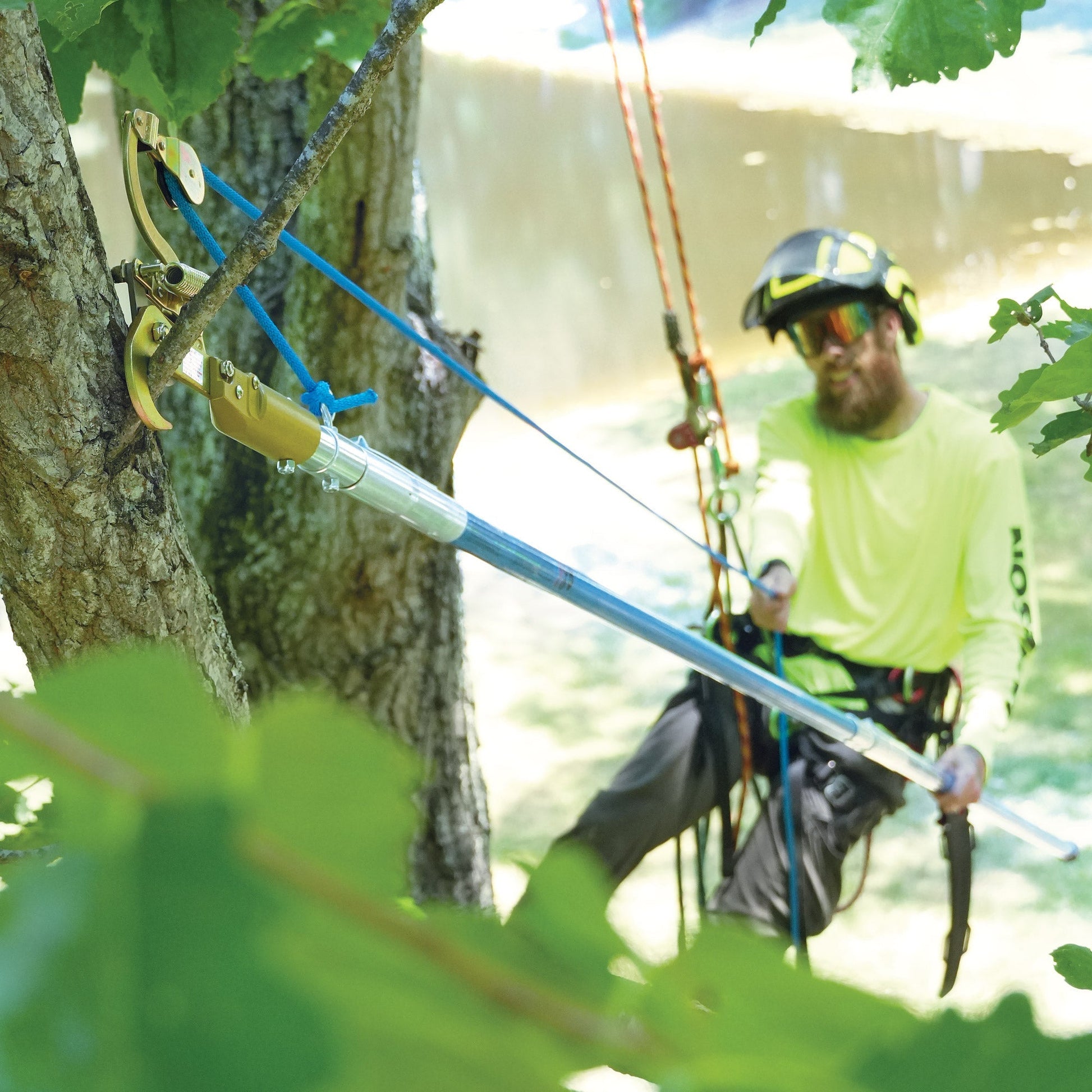 Jameson Pruning Tool