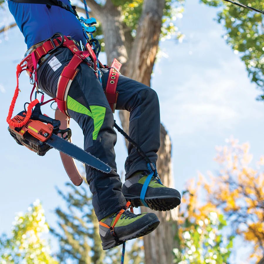 Weaver Ascent System