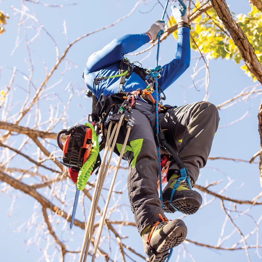 Weaver HAAS Ascent System 