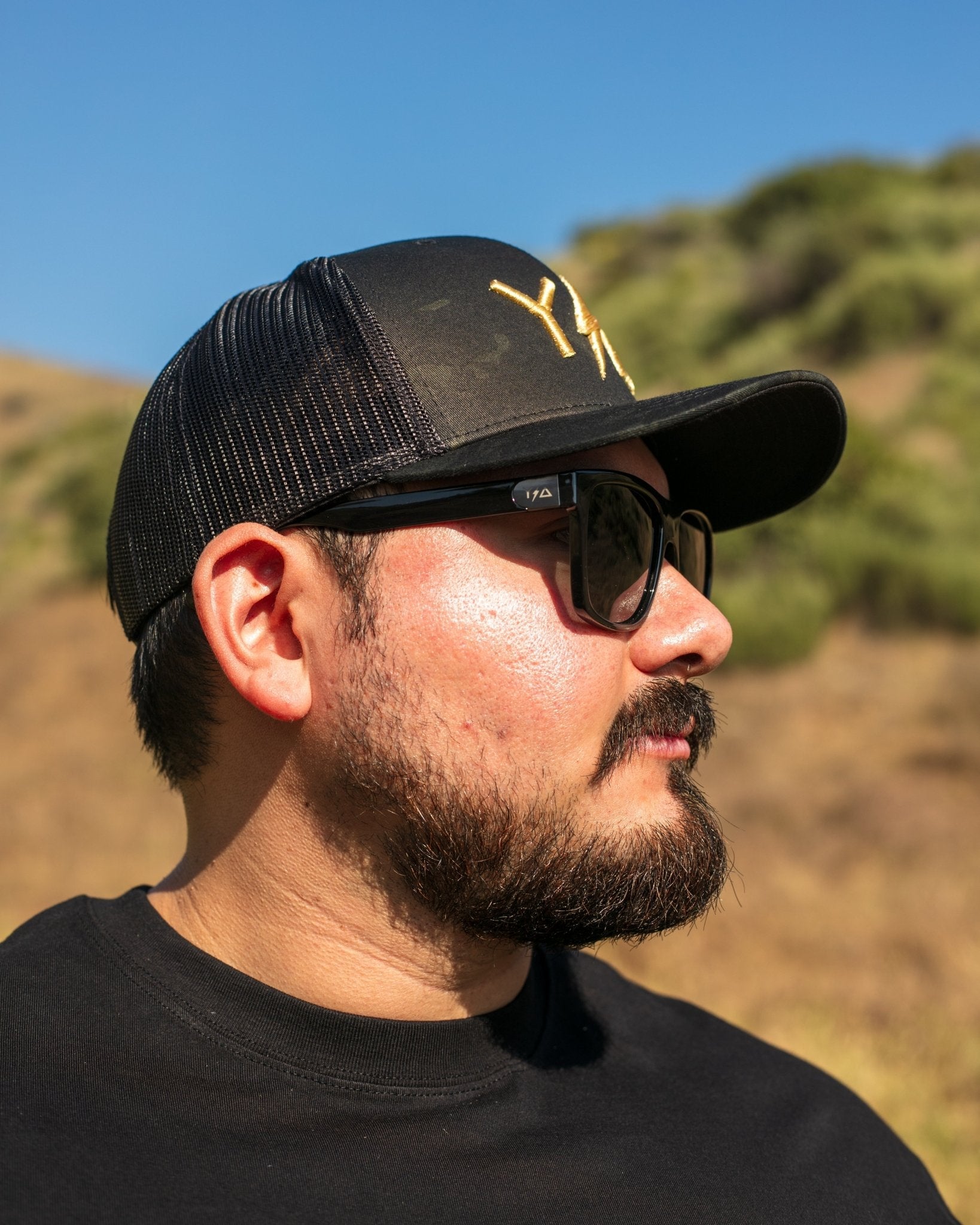Wye Delta Black Polarized Glasses 