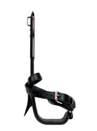 Bashlin Pole Climbers Aluminum Climbing Spikes  - BD14BX-1N