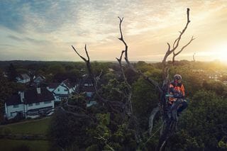Husqvarna Professional Chainsaw Kit 